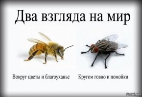 100%