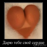 Фотоподборка