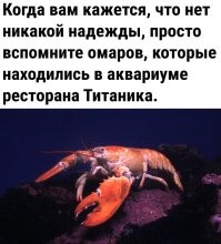 В Геленджике произошло «раковое» ДТП