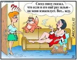 Коты Виктора Дидюкина