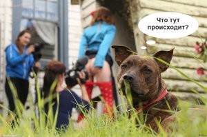 17 безумных изображений, которые вызывают много вопросов