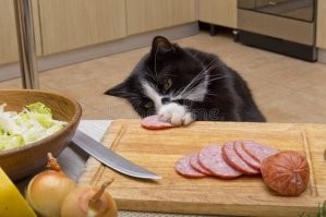 Воришка на фото.  А в статье ВОР, совершивший квалифицированную кражу.