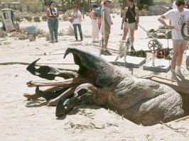 Типа такого?