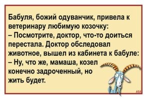 "Попробуйте подоить корову, а потом быка. И увидим, что будет": республиканка Кери Лейк на пальцах объяснила, что есть лишь два гендера