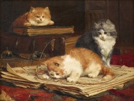 У Чарльза ван ден Эйкена шикарные коты))