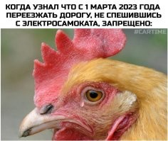 В Краснодаре самокатчик сбил няню с младенцем на руках и скрылся