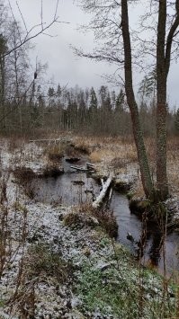 Ну это Пороги в Лосево, на реке Вуокса, но ни как не река Лосевка.