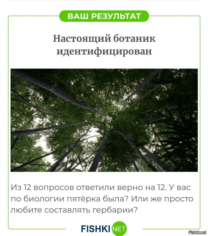 Ботанический тест: определите дерево по листве