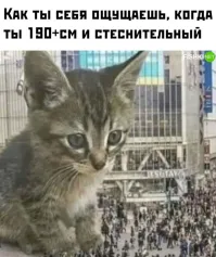 Что за бред? У меня 191. Полёт отличный. У друга 205, а у его брата 203.