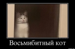Фотоприколы и&nbsp;прикольные картинки