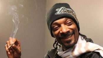 Пьяные дельтапланеристы в Ленобласти упали на частный дом