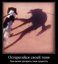 Нарочно не придумаешь: тени, сфотографированный в нужный момент