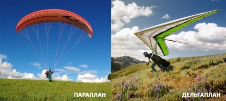 Пьяные дельтапланеристы в Ленобласти упали на частный дом