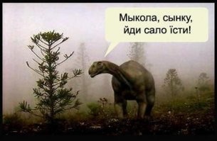 Рабочие со стройки ЖК "Митинский лес" в Москве откопали зубы динозавра и чешую