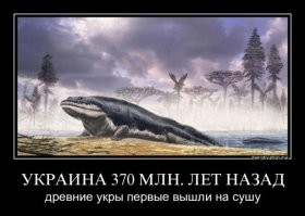 Рабочие со стройки ЖК "Митинский лес" в Москве откопали зубы динозавра и чешую