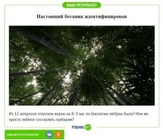 Ботанический тест: определите дерево по листве