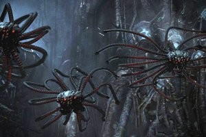 Неизвестное существо с 20 конечностями выловили в водах Антарктиды