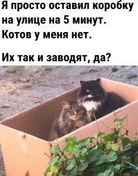 Фотоприколы и&nbsp;прикольные картинки