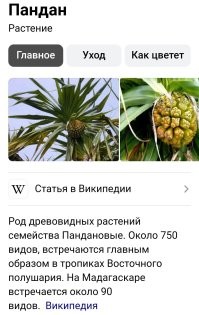 Вика+Саша...(в пандан предыдущему посту "Проституты из&nbsp;английской королевской семьи")