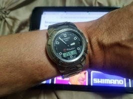 Дофига лет, полет нормальный. Хотя точность хода у Электроника -52? Или 55? (Не помню уже модель) была куда лучше, с их корректором.