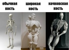Фотоприколы и&nbsp;прикольные картинки