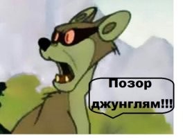 После странного падения на сцене Анну Седокову отправляют в наркологическую клинику