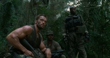 В Сергиевом Посаде опытная 82-летняя старушка заблудилась в лесу и повесила себя на дерево