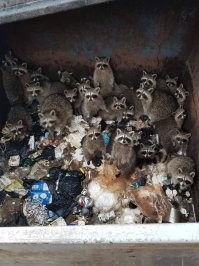 Машина времени: 37 архивных фотографий обо всем на свете