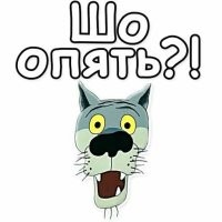 Бессмертные самокатчики против слепых водителей