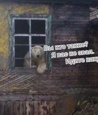 Демотиваторы на любой вкус