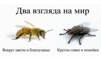 "О, привет, Марк!": самое ужасное кино в мире