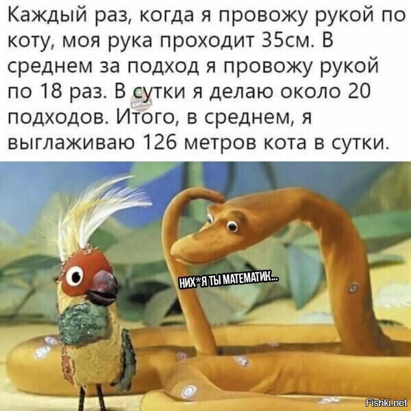 Удава мерили попугаями. Удав и попугай. Попугай меряет удава. Мерить в попугаях. Измеряем в попугаях.