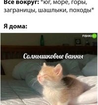 Комментарии и картинки из соцсетей. Свежак за 17 августа