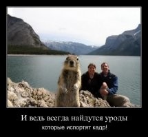 17 наглых вторжений в чужие фотографии, которые сделали снимки только веселее и интереснее