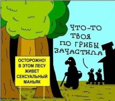 Сын вынес мать на плечах: на Урале в лесу нашли заблудившуюся 74-летнюю бабушку