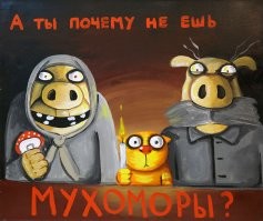 Глава Минфина США попробовала в КНР галлюциногенные грибы, "но эффекта не было"