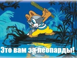 "Нашествие" пьяных енотов, громящих дома и поедающих домашнюю живность случилось в Германии