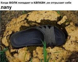 Намешалось