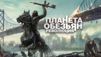 50 бабуинов напали на леопарда посреди дороги