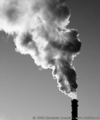 Цыгане вышли на новый уровень