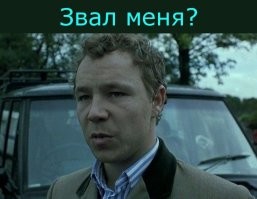 Цыгане вышли на новый уровень