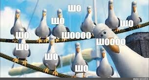 директор Ассоциации профессиональных пользователей соцсетей и мессенджеров