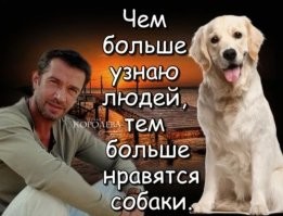 Собака спасла девочку от серьёзных травм