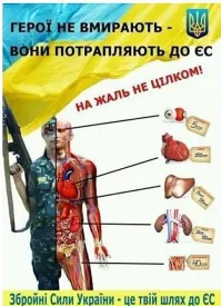 Депутат Госдумы фактически подтвердил, что сын Кадырова избил поджигателя Корана