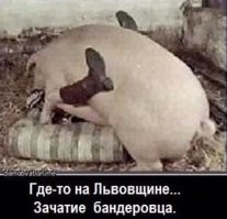 Толпа мигрантов выгнала детей со спортивной площадки