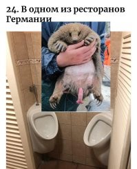 40 глупых дизайнерских идей для общественных мест