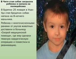 Собака спасла девочку от серьёзных травм