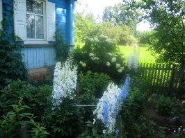 Брянская обл.
Почепский р-он.
с.Рогово