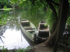 Брянская обл.
Почепский р-он.
с.Рогово