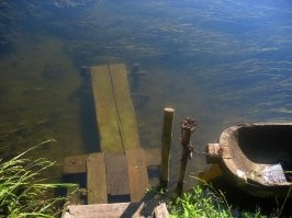 Брянская обл.
Почепский р-он.
с.Рогово